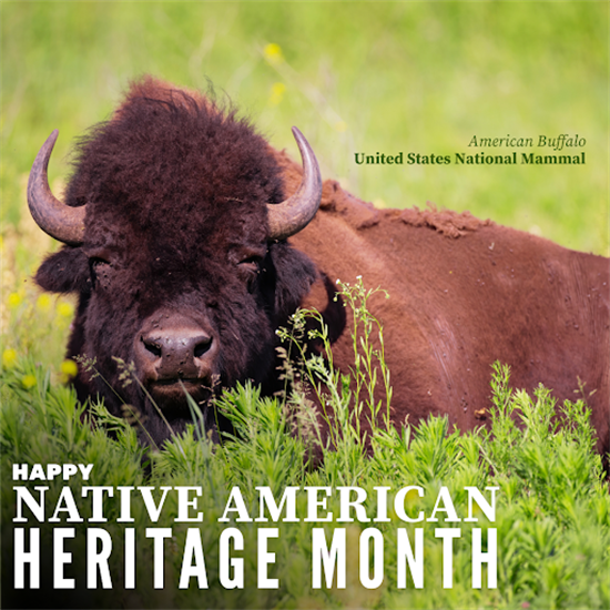 Native American Heritage Month