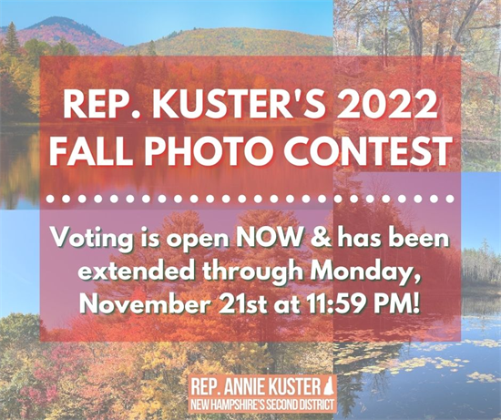Fall photo contest voting
